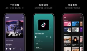 汽水音乐网页版如何下载歌曲？