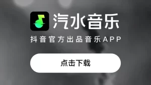 汽水音乐网页版支持哪些地区？