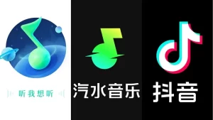 汽水音乐网页版可以缓存音乐吗？功能解析与使用指南